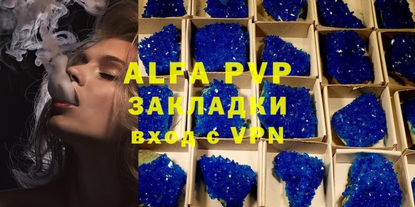 мяу мяу мука Михайловск