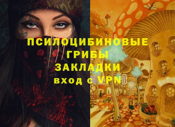 мяу мяу мука Михайловск