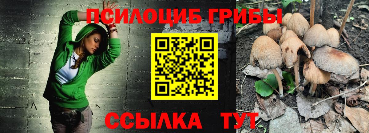 Галлюциногенные грибы прущие грибы Назрань