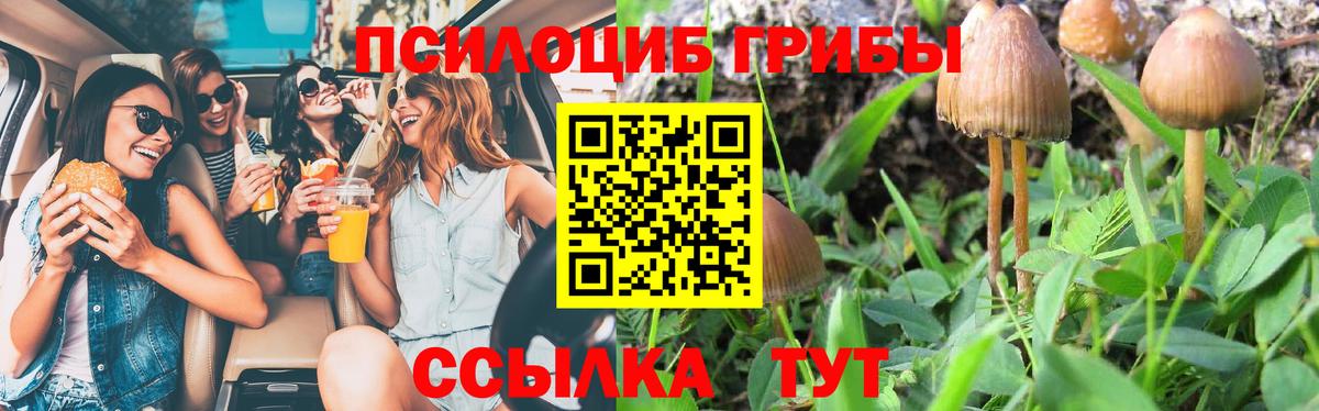 Псилоцибиновые грибы MAGIC MUSHROOMS  Вход с VPN  Назрань 