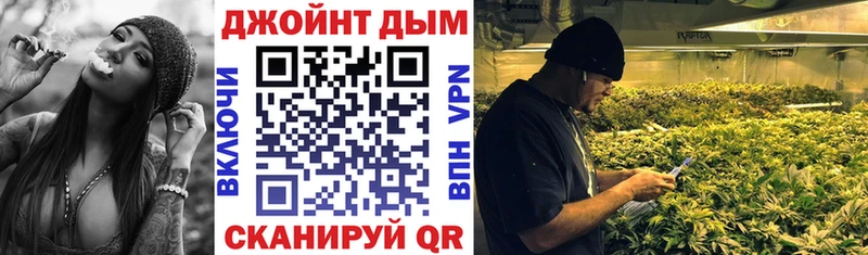 Конопля сатива  купить  сайты  Назрань 
